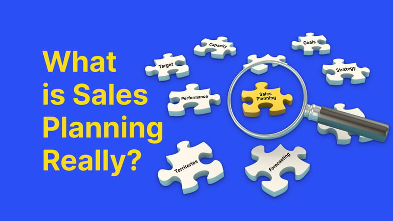 What is Sales Planning Really?
