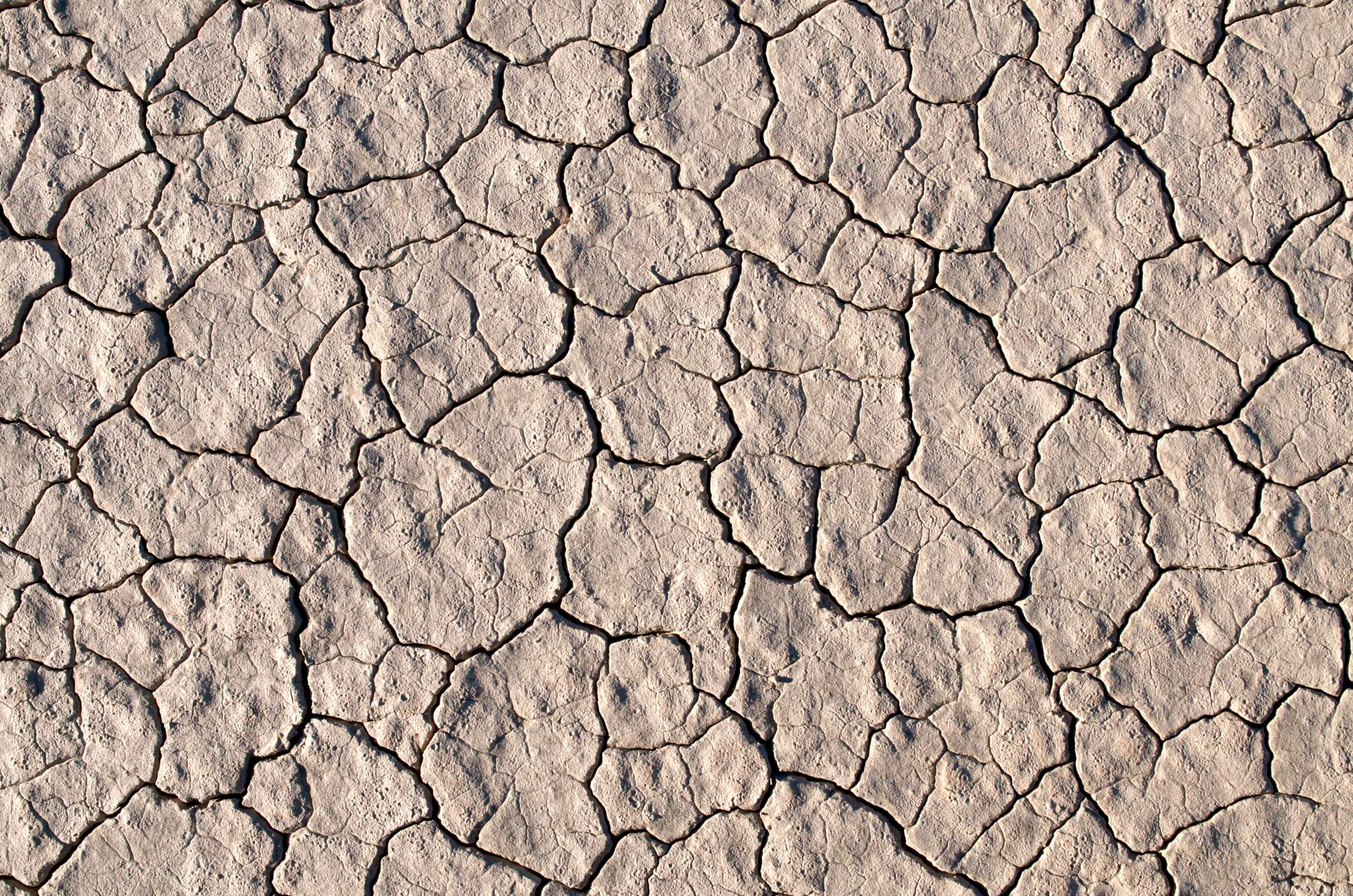 Stop Leads Falling Through the Cracks With a Lead Response SLA That Works