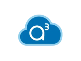 A3