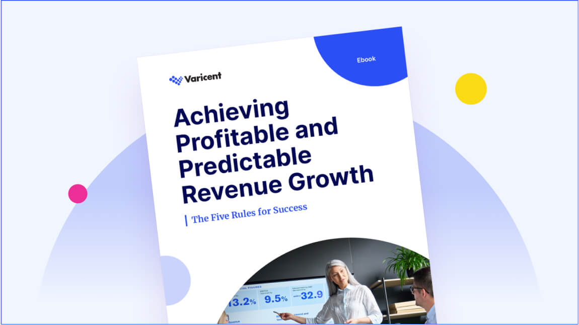 ebook-achieving profitable revenue growth