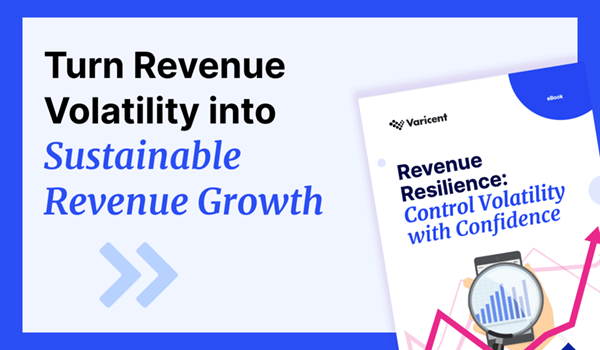 Turn Revenue Volatility into Sustainable Revenue Growth report thumbnail