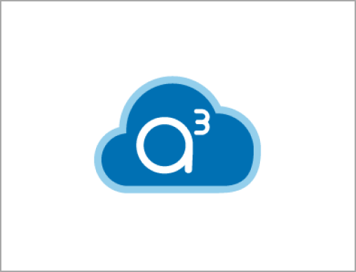 A3